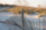 Dunes Cape Cod