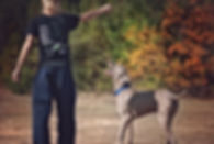 Animal Rescue and Care