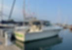 goforit12_edited.jpg