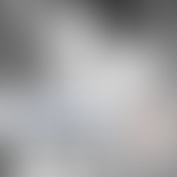 El maestro de ceremonias