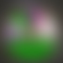 El Calendario Litúrgico