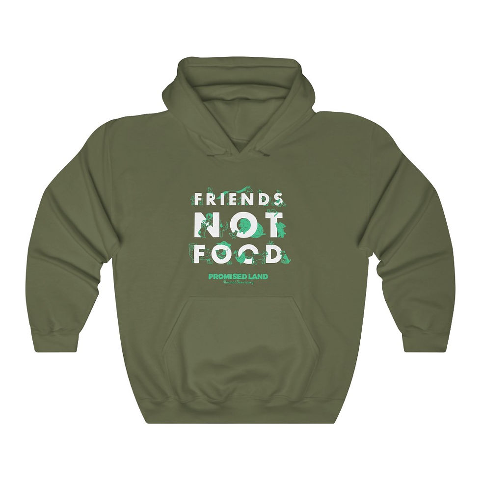 Thumbnail: Unisex Hooded Sweatshirt – Friends Not Food