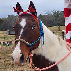 Remi Allison christmas_edited.jpg