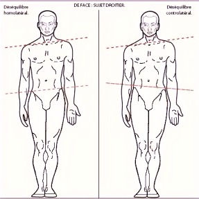 POSTUROLOGIE - UNE INTRODUCTION