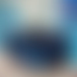 Basingstoke Bluefins Masters: British, European and World Records 2024