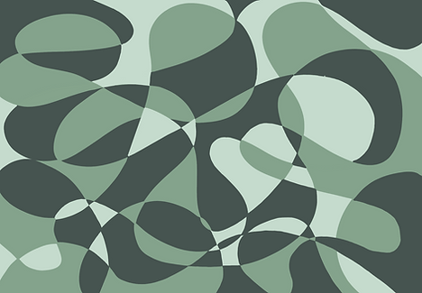 IMG_1086.PNG