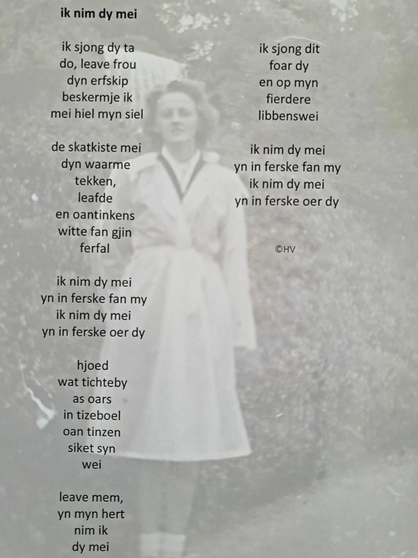ik nim dy mei