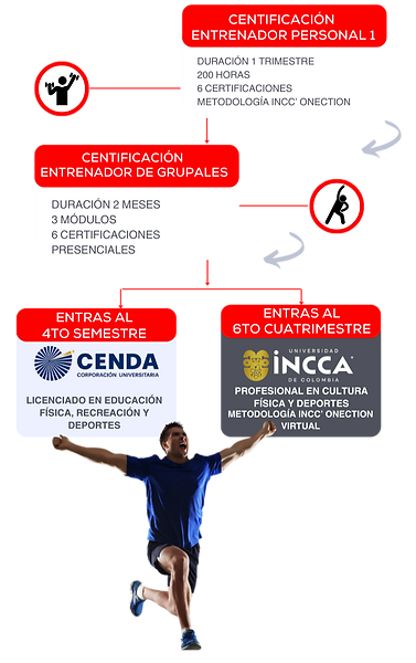 ALIANZAS CCAPF (5)_edited.png