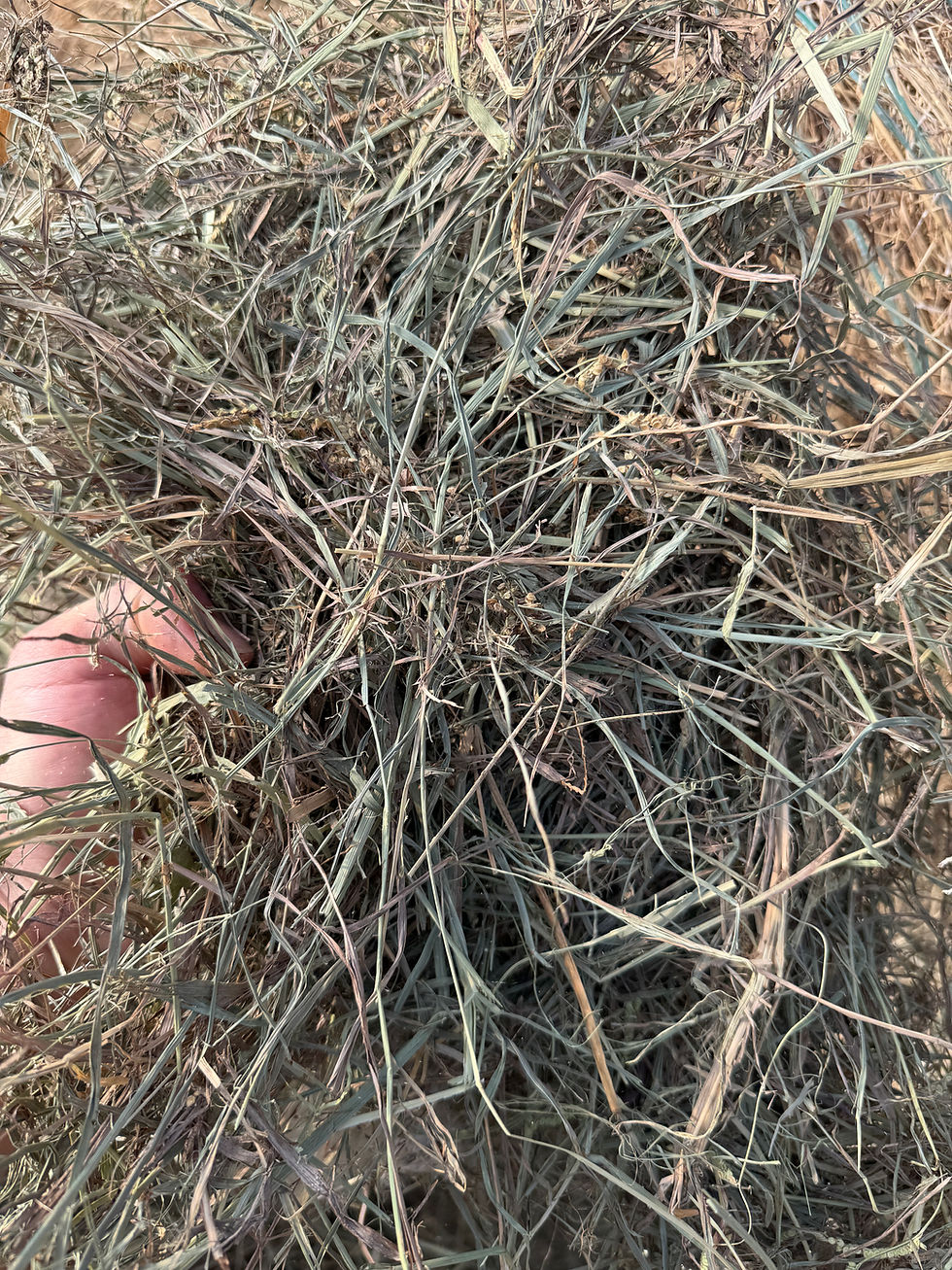 Thumbnail: Round Bale