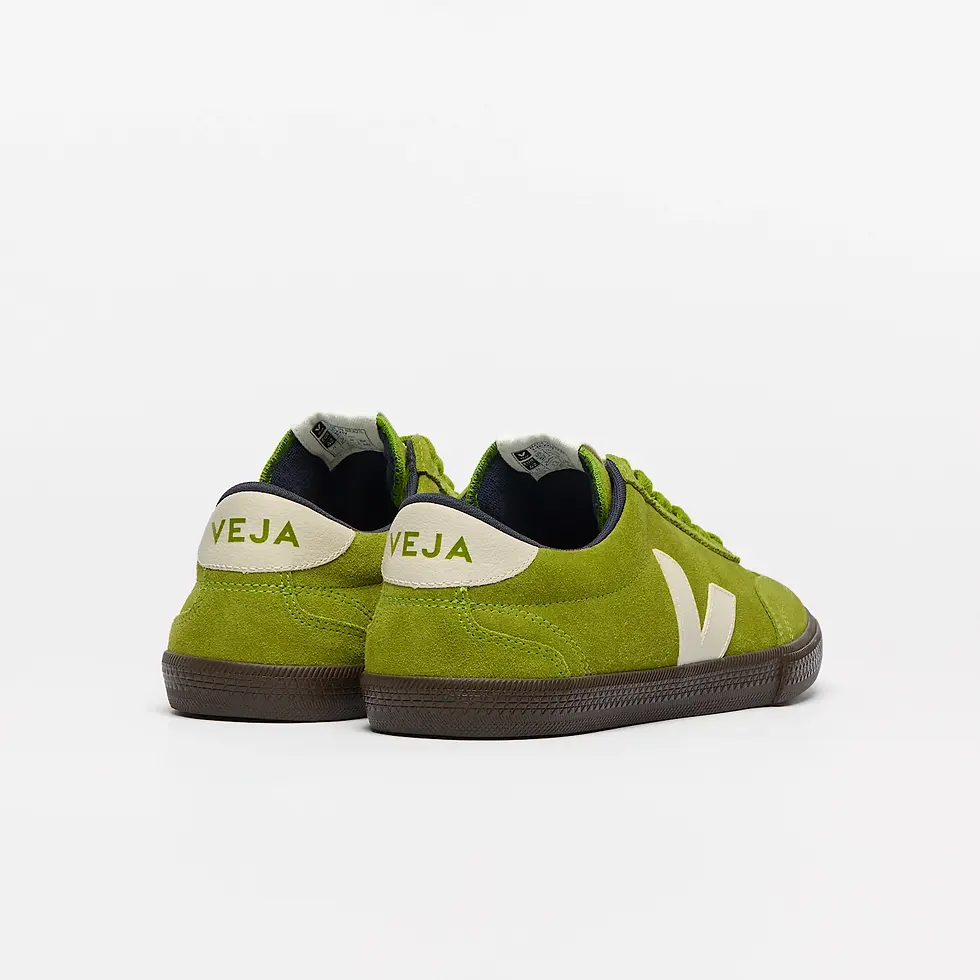 Miniature : VEJA VOLLEY DETOX Pierre/Eagle