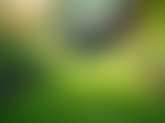 The Importance of Sustainable Living in Today's World