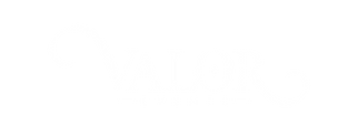 VALOR NEW DESIGNS-08.png