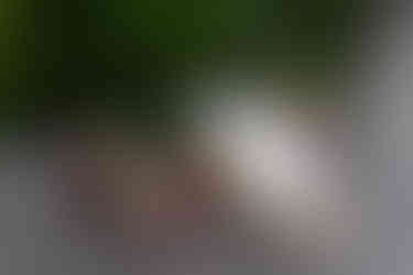 alternative wedding at Ruins at the Astor on Oregon Coast