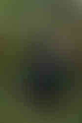 Alternative wedding couple with black wedding dress and black suit at oregon farmhouse