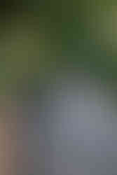 Couple celebrating their wedding day at Abernethy Center in Oregon City