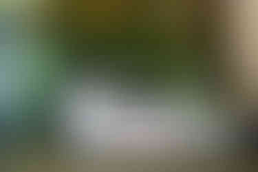 alternative wedding at Ruins at the Astor on Oregon Coast