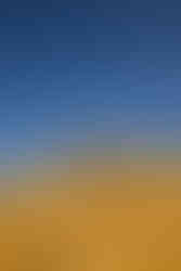 professional portraits of boys at the cornfield portraits