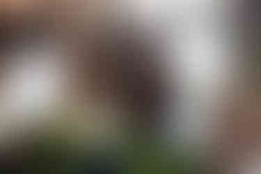 alternative wedding at Ruins at the Astor on Oregon Coast