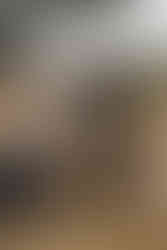 Alternative wedding couple with black wedding dress and black suit at oregon farmhouse