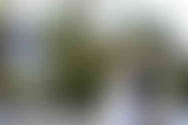 Couple celebrating their wedding day at Abernethy Center in Oregon City