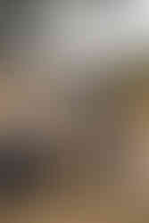 Alternative wedding couple with black wedding dress and black suit at oregon farmhouse