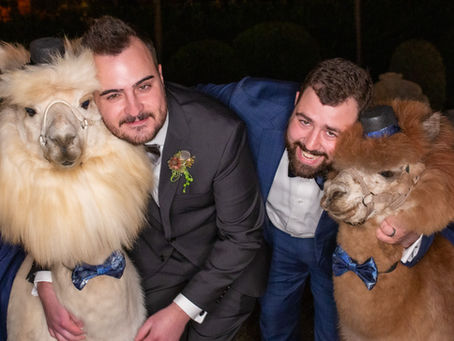 Noah and Spencer at Blockhouse: The perfect day for a Portland wedding photographer