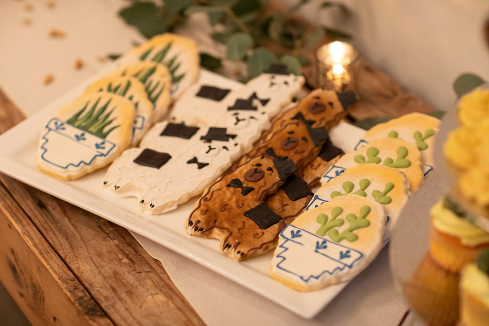 Succulent and llama shaped wedding cookies