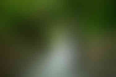 Couple celebrating their wedding day at Abernethy Center in Oregon City