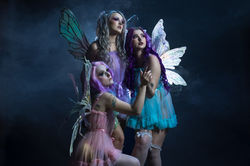 Fantasy set with fairy wings and antlers with floral at Cobalt Studios