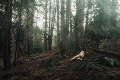 Naked witch laying in moody forest censored