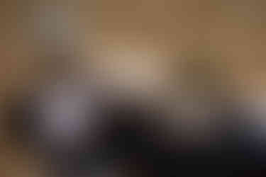 Alternative wedding couple with black wedding dress and black suit at oregon farmhouse