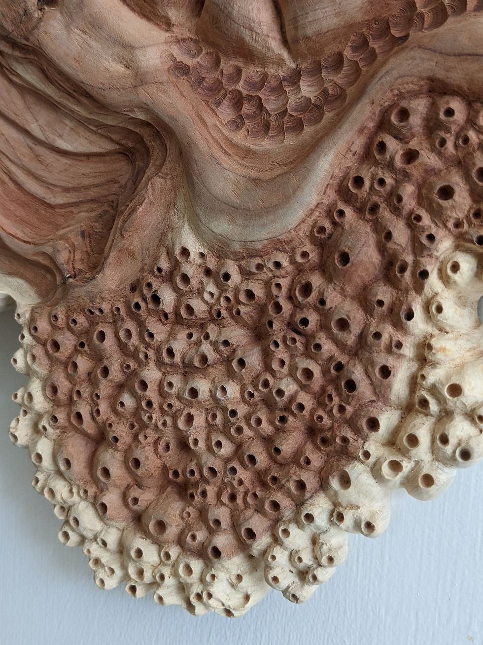 Carved Reef Detail
