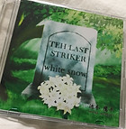THE LAST STRIKER ジャケット
