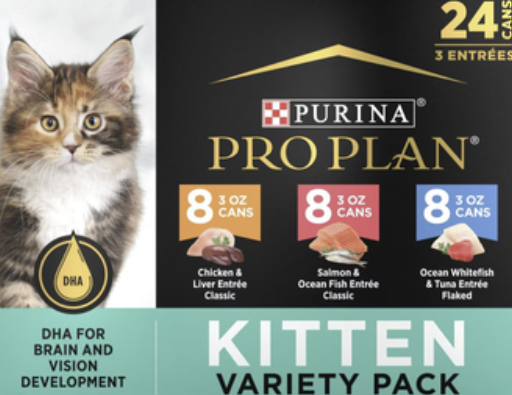 Kitten Purina Pro Plan Wet Food