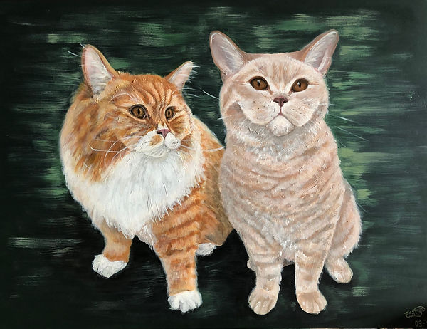 Snor & Fizzl