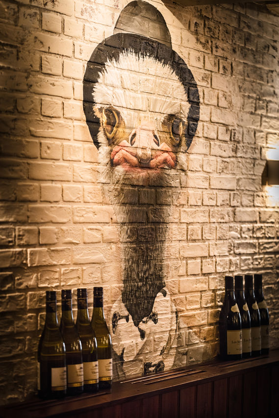 Struisvogel bistro 5 megapixel 72 dpi-8.jpg