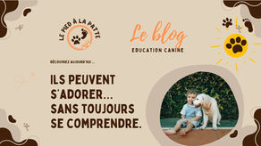 Enfant et chien partageant un moment ensemble, illustration de la relation enfant-chien