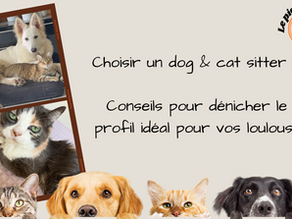 Comment choisir un dog sitter compétent pour la garde de votre animal de compagnie dans la Loire ?