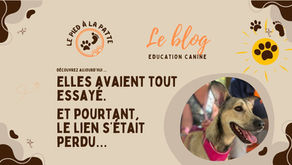 Son humaine et sa chienne avaient tout essayé.  Et pourtant,  le lien s’était perdu…