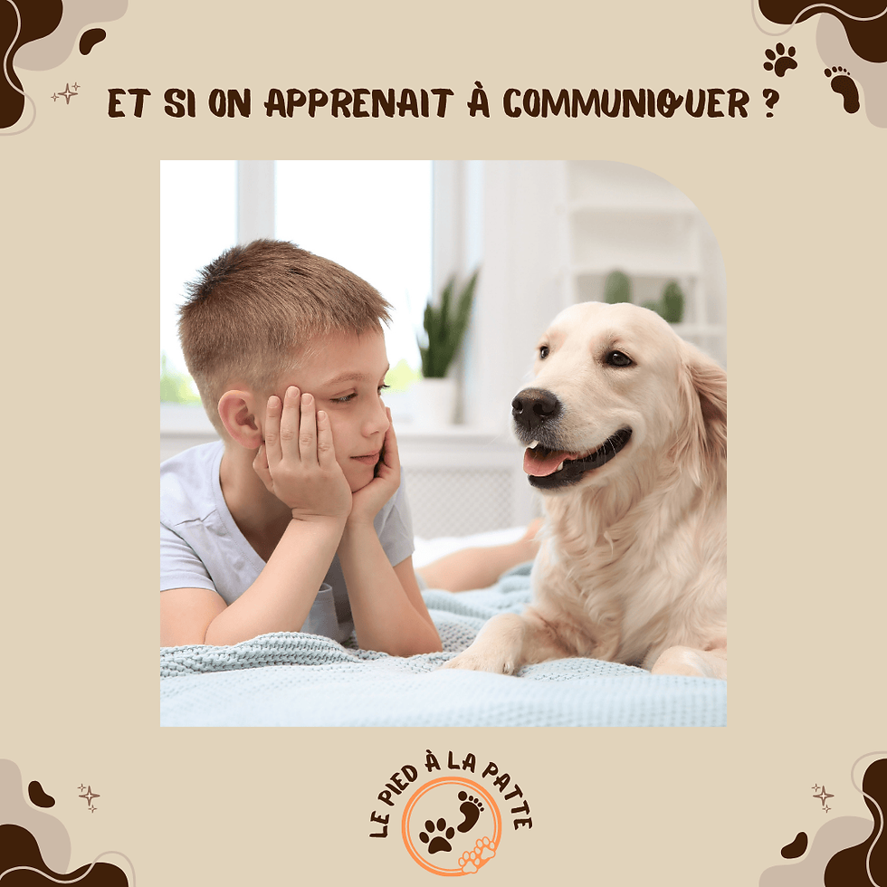 Apprendre à communiquer avec son chien