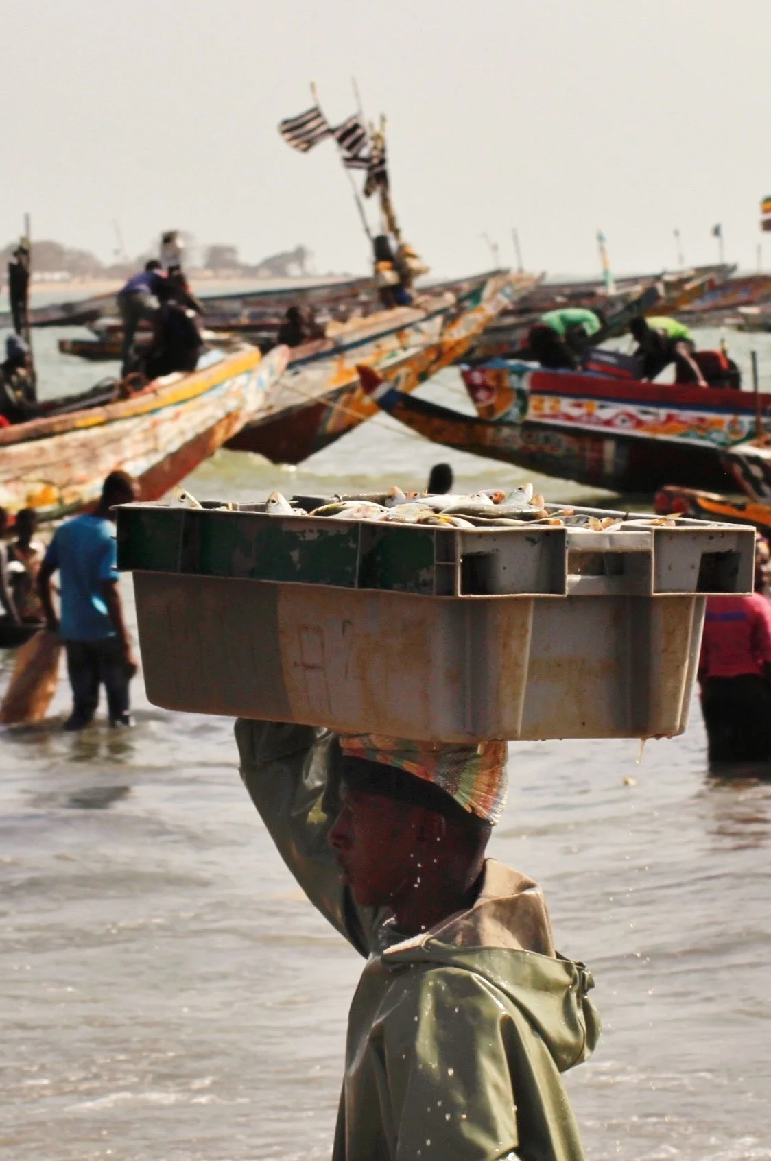 Pescador Tanji puerto pesquero Gambia