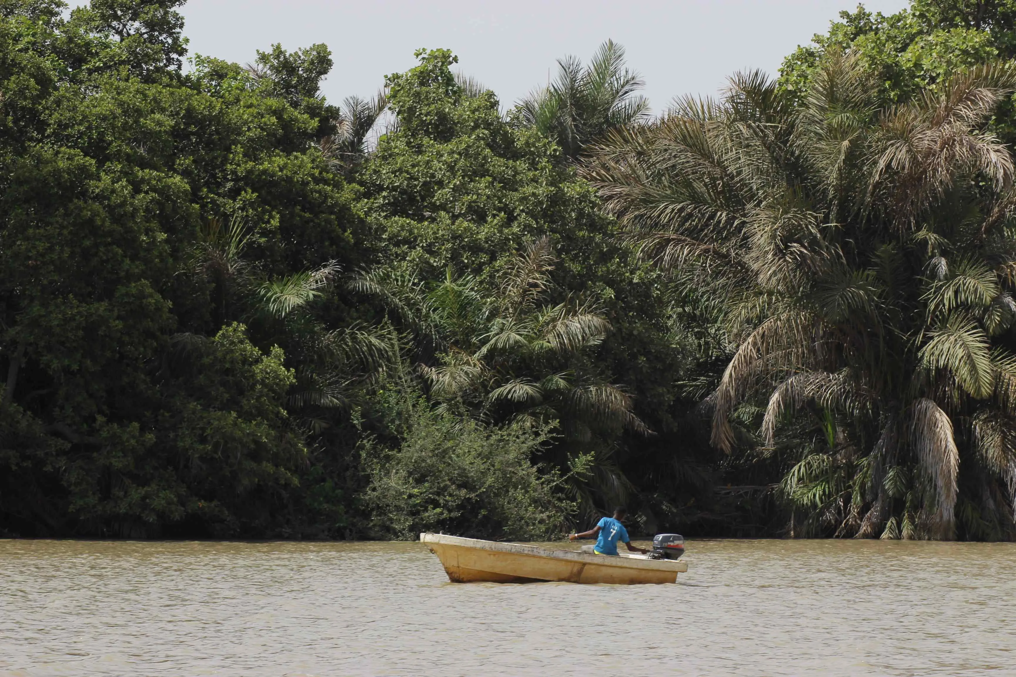 Ranger Parque Nacional Río Gambia Africa