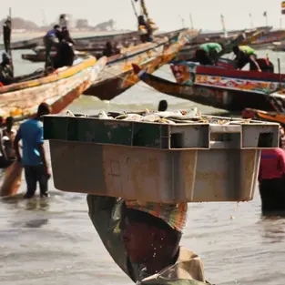 PEscador Puerto pesquero Tanji Gambia
