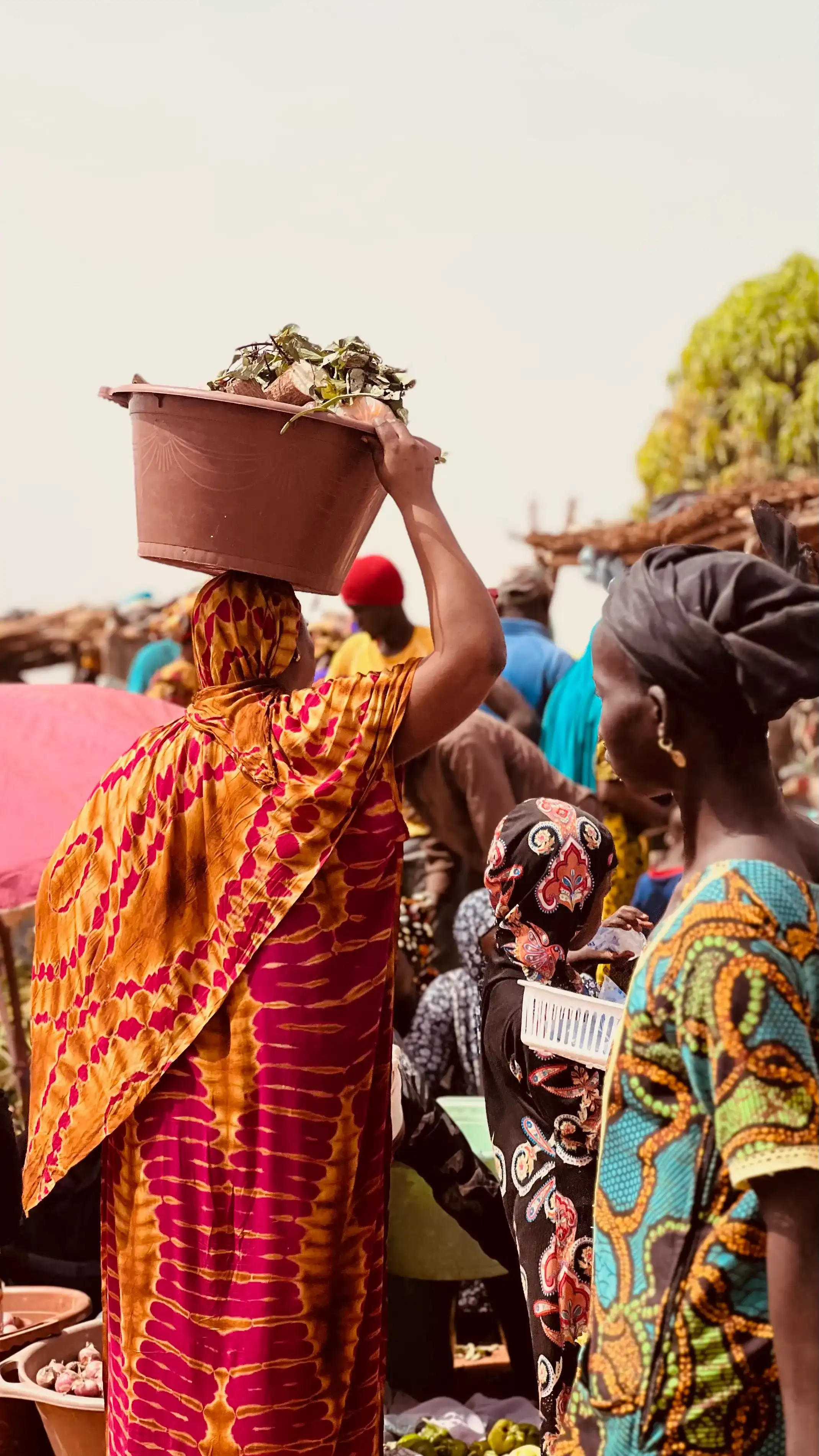 Mujeres mercado africano Farafenni Gambia Africa