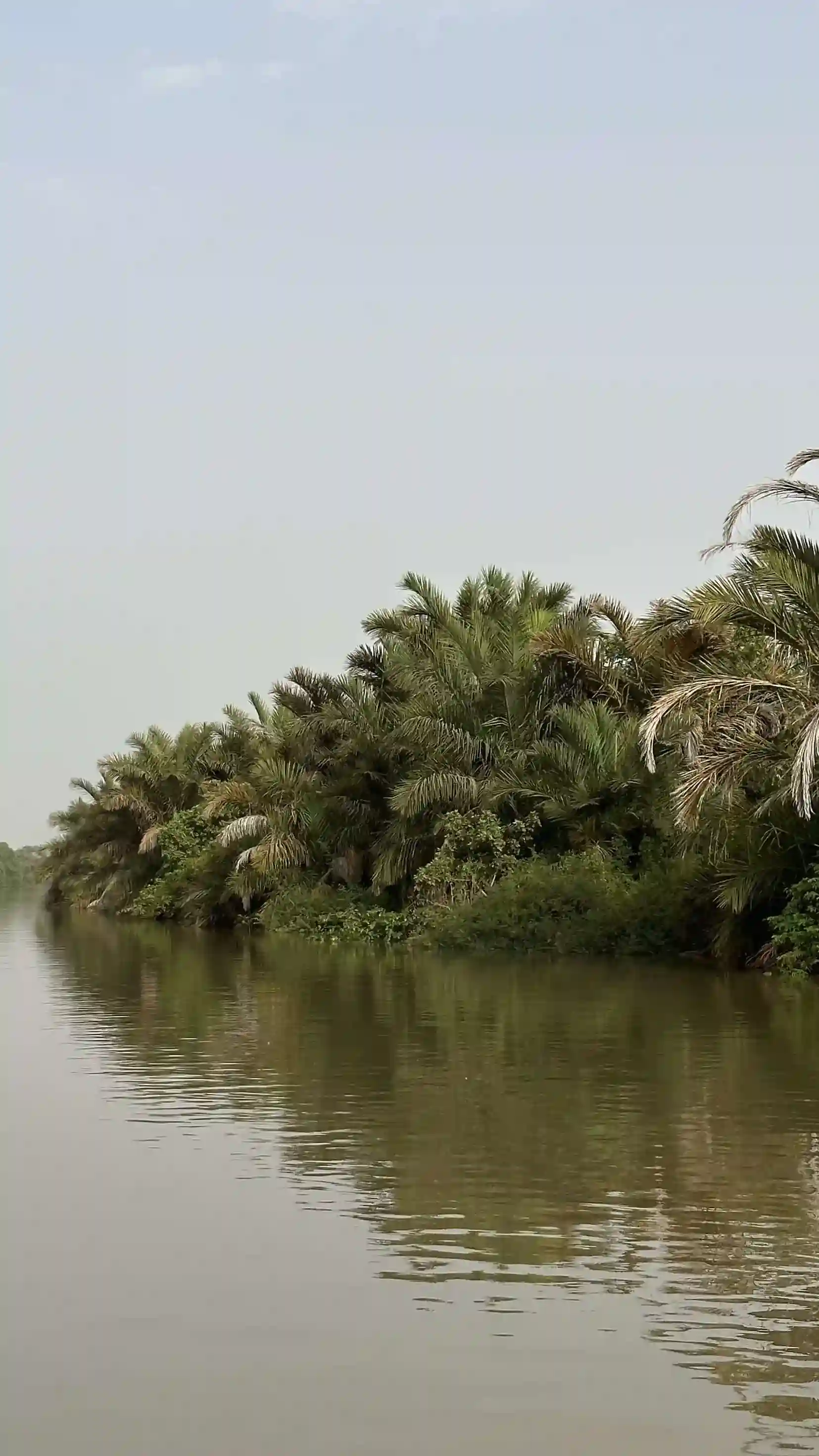 Rivera del Río Gambia