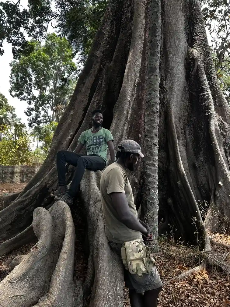 Guías locales Whanau Gambia Africa