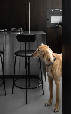 YAEL PERRY | יעל פרי