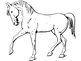 horse.png