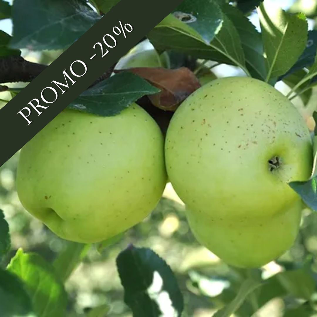 Poma Golden ECO 4kg [Pomona]