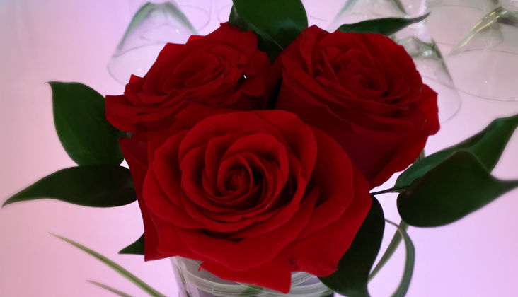 Event Flowers Montreal